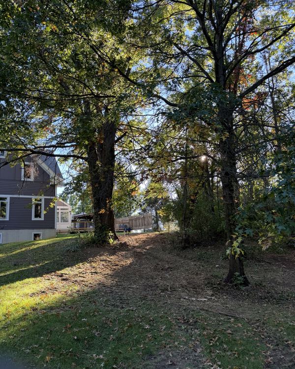 After: overgrown hedge row behind the deck, cleared to an open slope, Sunbury, Delaware County